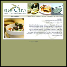 blue olive website hosting and design